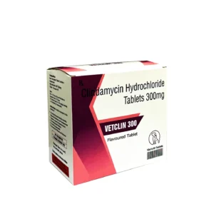 Sihil Vetclin 300mg Tablets for Dogs and Cats
