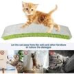 Smarty-Pet-Cat-Cardboard-Slim-Arch-Scratcher-1.jpg