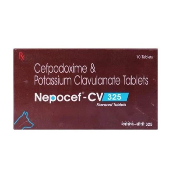 TTK-Nepocef-CV-325-Flavored-Tablets.jpg TTK-Nepocef-CV-325-Flavored-Tablets.jpg