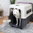 Travel-Carrier-For-Dogs-32inch-Creme-Grey-2.jpg