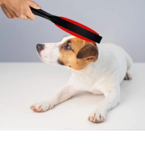Trixie-Lint-Brush-Pet-Hair-Double-Sided-BlackRed-2.jpg Trixie-Lint-Brush-Pet-Hair-Double-Sided-BlackRed-2.jpg