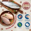 Trixie-Premio-Trainer-Snack-Mini-Fish-Nuggets-Cat-Treats-1.jpg