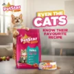 Tuna_kitten_Cat_Delight_A_Creatives-06_1_600x.webp