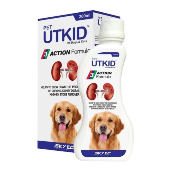 UTKID.jpg UTKID.jpg