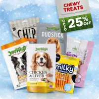 Dog Treat