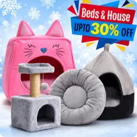 House and Bed