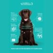 Venttura-Amino-Supplement-for-Pet-Dogs-2.jpg