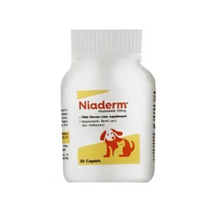 Vvaan-Niaderm-500mg-Caplets.jpg