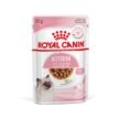Royal Canin Kitten Jelly Wet Cat Food