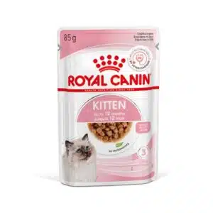 Royal Canin Kitten Jelly Wet Cat Food