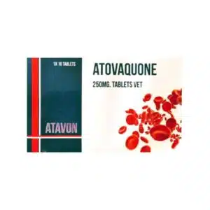 Atavon Atovaquone 250mg Tablets For Dogs & Cats