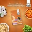 Avant Furst Chicken and Vegetable Puppy Dry Food