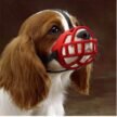 WPZ-Rubber-Muzzel-For-Dog-1.jpg