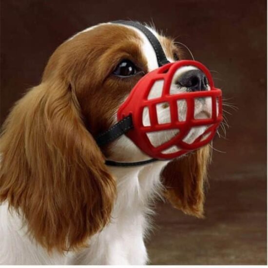 WPZ-Rubber-Muzzel-For-Dog-1.jpg WPZ-Rubber-Muzzel-For-Dog-1.jpg