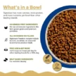 What_sinaBowl_500x.webp