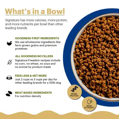 What_sinaBowl_500x.webp What_sinaBowl_500x.webp