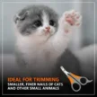 cat-nil-scis-3.webp