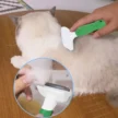 de-shedding-4.webp