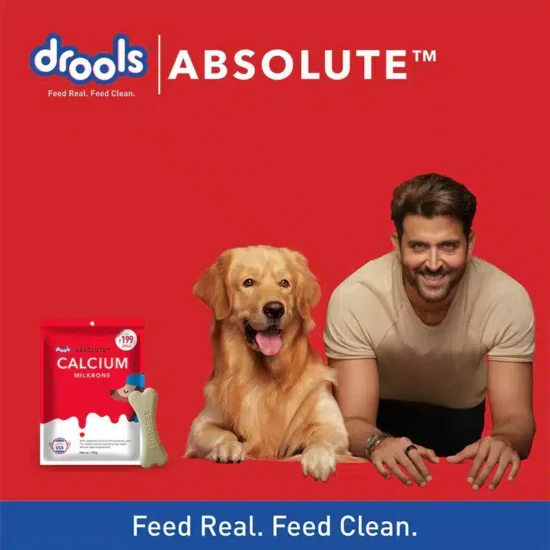 drools-199-3.webp drools-199-3.webp