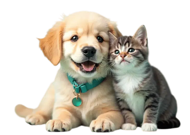 puppy banner