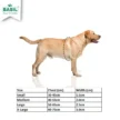 harnessimges_1_b11beed0-1cfc-4c4e-9962-cd50f80a87fe.webp