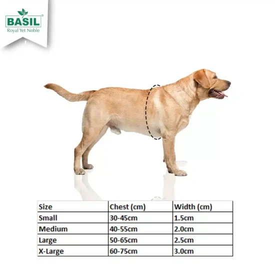 harnessimges_1_b11beed0-1cfc-4c4e-9962-cd50f80a87fe.webp harnessimges_1_b11beed0-1cfc-4c4e-9962-cd50f80a87fe.webp