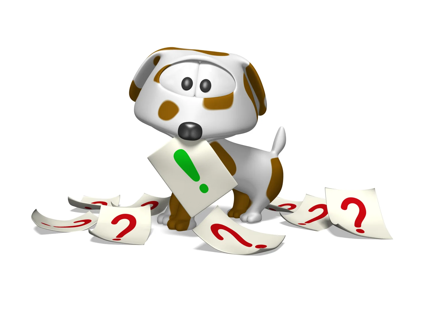 dog image