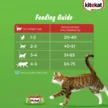kitekat-adult-5.webp