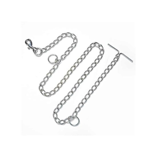 pawzone-asia-steel-chain-.jpg