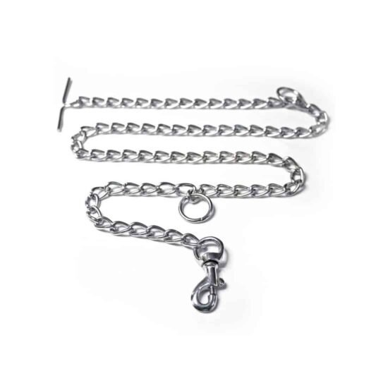 pawzone-asia-steel-chain-1.jpg