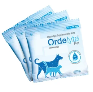 Intas Ordelyte Pet ORS 20 sachets for Dogs & Cats
