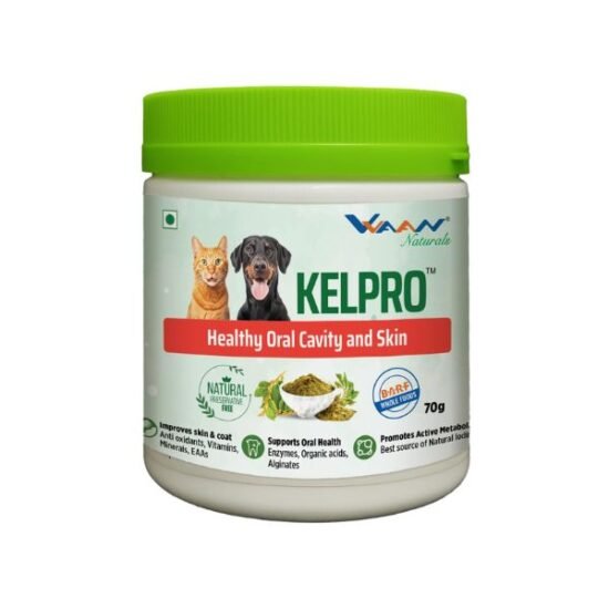 Vvaan Kelpro Powder Oral Care Supplement for Dogs & Cats Vvaan Kelpro Powder Oral Care Supplement for Dogs & Cats
