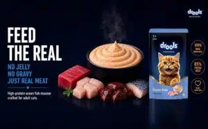 Drools Ocean Fish Adult Cat Wet Mousse 80g Pack of 5