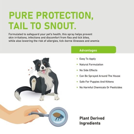 Tails Tango Anti Tick Flea Spray For Dogs and Cats 200ml Tails Tango Anti Tick Flea Spray For Dogs and Cats 200ml