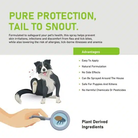 Tails Tango Anti Tick Flea Spray For Dogs and Cats 200ml Tails Tango Anti Tick Flea Spray For Dogs and Cats 200ml