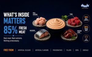 Drools Ocean Fish Adult Cat Wet Mousse 80g Pack of 5