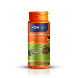 Intan Guppy Pellets Floating Fish Food