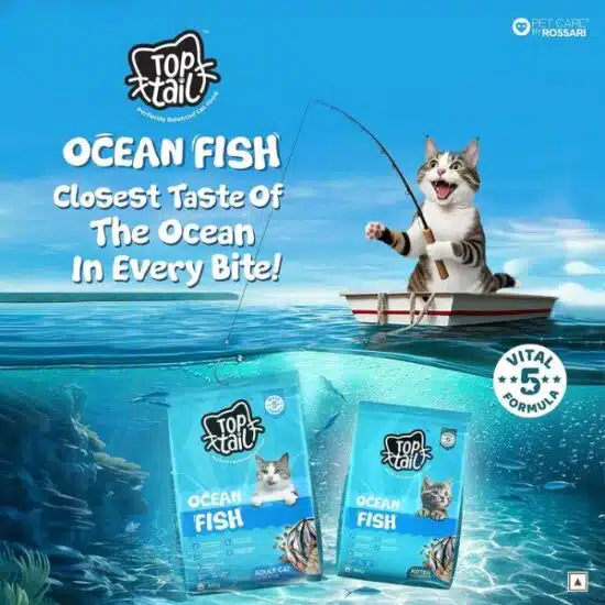 Toptail Ocean Fish Food for Kitten Toptail Ocean Fish Food for Kitten