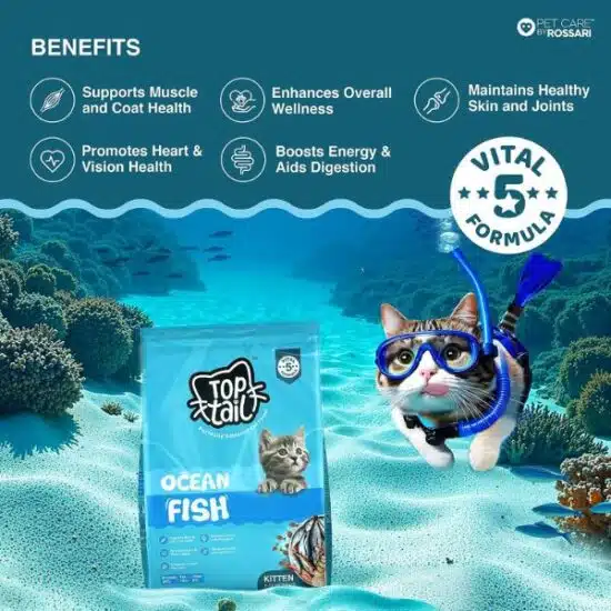 Toptail Ocean Fish Food for Kitten Toptail Ocean Fish Food for Kitten